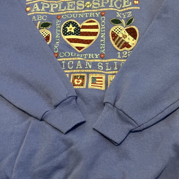 Vintage Country Apple Spice Sweatshirt SZ XL Blue American Slice Hanes Fleece - Picture 6 of 11